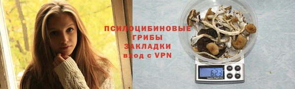 сатива Алексеевка