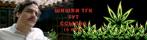 шишки Абинск