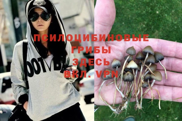 шишки Абинск