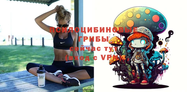 ГАЛЛЮЦИНОГЕННЫЕ ГРИБЫ Алексин