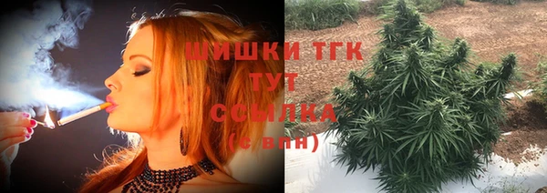 ГАЛЛЮЦИНОГЕННЫЕ ГРИБЫ Алексин