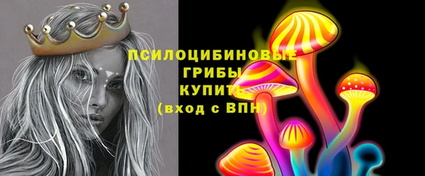 твердый Алзамай