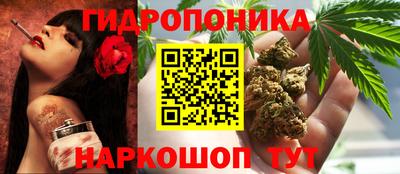 молекула духа Прокопьевск